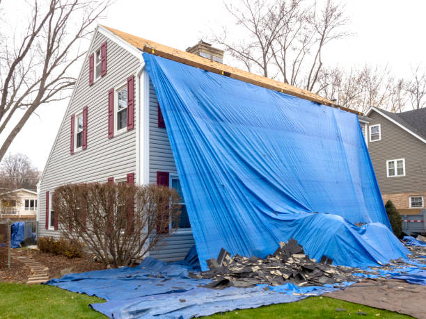 Best Estate Cleanout  in Staunton, IL